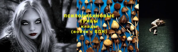 тгк Карталы