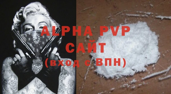 стаф Киренск