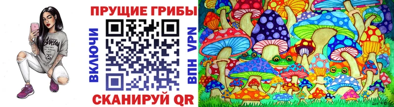 Галлюциногенные грибы Cubensis  закладки  Цивильск 